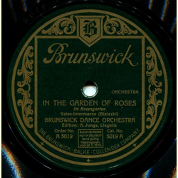 Brunswick Dance Orch. - In the Garden of Roses / Fairys Doll