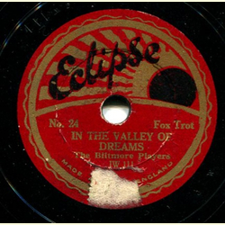 The Biltmore Players - In the Valley of Dreams / Wonderful Eyes