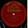 Ernestine Schumann-Heink - Samson und Dalila (Delilahs Song of