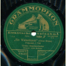 Großes Streichorchester - "Ein Walzertraum" - Potpourri