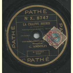 G. Andolfi - La chauve souris