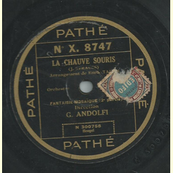 G. Andolfi - La chauve souris