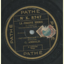 G. Andolfi - La chauve souris