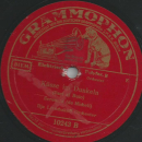 Ilja Livschakoff Orchester - Blauer Pavillon / Küsse im Dunkeln
