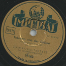 Hawaiian-Terzett - Serenade / Träumen von der Südsee
