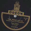 Harry Steier - Hab Mitleid mit mir / Weißt du noch, wies damals war?