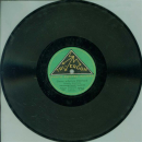 Instrumental-Terzett Freundorfer - Unser schönes...