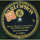 Edith-Lorand-Orchester - Flott durchs Leben / Wenn Rosen erwachen