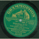 Großes Streichorchester mit Gesang - Schubertiana Teil I und II