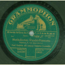Godwin mit seinem Künstler-Ensemble - Musikalisches Wandel-Panorama