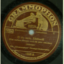 Die Grammophon Gesangs-Guitarristen - O du mein Edelweiß / Ein Tiroler wollte jagen
