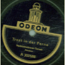 Nachtschwärmer-Terzett - Vogerl fliag in d Welt hinaus / Trost in der Ferne