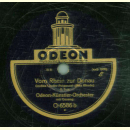 Gesang, Odeon-Künstler-Orchester - Vom Rhein zur Donau
