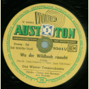 Das Rudi Hofstetter Terzett - Unter den Sternen des Südens / Wo der Wildbach rauscht