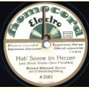 Richard Bitterauf - Alle Tage ist kein Sonntag / Hab´ Sonne im Herzen