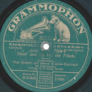 Paul Godwin - Die schönsten Beine von Berlin / Heut war ich bei der Frieda
