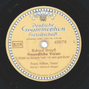 Franz Völker - Traum durch die Dämmerung / Freundliche Vision
