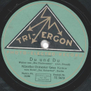 Künstler-Orchester Géza Komor - An der schönen blauen Donau / Du und Du