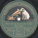 Salon Orchester - Geschichten aus dem Wiener Wald / Rosen aus dem Süden