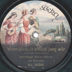 Harry Steier - Wenn ich noch einmal jung wre / Sag mir nur einmal ja