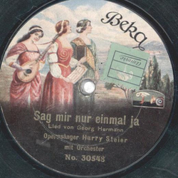 Harry Steier - Wenn ich noch einmal jung wre / Sag mir nur einmal ja