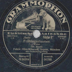 Felicie Hni-Mihacsek, Willi Domgraf-Fabaender, Gerhard Witting - Figaros Hochzeit / Die Zauberflte