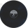 Mitchell Torok - Caribbean / Weep away