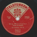 Zither-Trio - Gamsjäger-Marsch / Die Mürrtaler