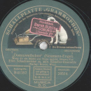 Efim Schachmeister - Donauweibchen 