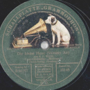 Tanz-Orchester Metropol - Carmarad / Die kleine Hexe