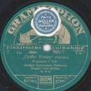 Groes Symphonie-Orchestere: Alois Melichar - Grfin...
