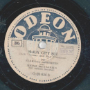 Die Elskamp-Brothers - Home on the Range / Sioux City Sue