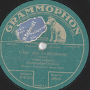 Grammophon-Orchester - Unter dem Grillenbanner /...