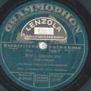 Profesor Felix Schmidt Quartett - Unterm Lindenbaum / Wie´s daheim war