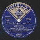 Karl Schmitt Walter - Alle Birken grünen / Rose Marie