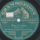 Paul Godwin - An der schönen blauen Donau / Über den Wellen