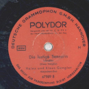 Heinz und Klaus Gengler - Die fröhlichen Dorfmusikanten / Die lustige Sennerin