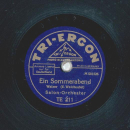 Salon-Orchester - Geschichten aus dem Wiener Wald / Ein Sommerabend