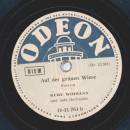 Kurt Widmann und sein Orchester - Ali Baba / Auf der grünen Wiese