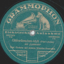 Paul Godwin - Siamesische Wachtparade / Glühwürmchen-Idyll
