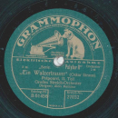 Großes Streichorchester - "Ein Walzertraum" - Potpourri