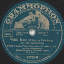 Franz Völker - Monatsrose / Wilde Rose