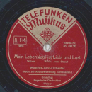 Musikus-Tanz-Orchester mit Jodler - Bayrische Gschichten / Mein Lebenslauf ist Lieb und Lust