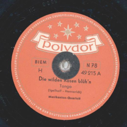Musikanten-Quartett - Die wilden Rosen blühn / Deinen Ring hab ich getragen