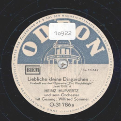 Wilfried Sommer, Heinz Huppertz und sein Orchester - Liebliche kleine Dingerchen / In der Nacht, in der Nacht...