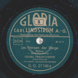 Georg Freundorfer - Im Herzen der Berge / Die lustigen Holledauer