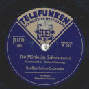 Großes Salon-Orchester - Stephanie-Gavotte / Die Mühle im Schwarzwald