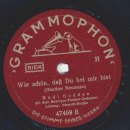 Rudi Godden - Was macht ein Mann nicht alles / Wie schön, daß du bei mir bist