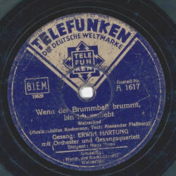 Erwin Hartung - Wenn der Brummba brummt / Horch, der Kuckuck ruft!