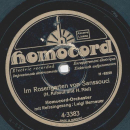 Luigi Bernauer - Leutnant warst du einst bei den Husaren / Im Rosengarten von Sansosouci